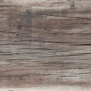 Photo Textures of Wood